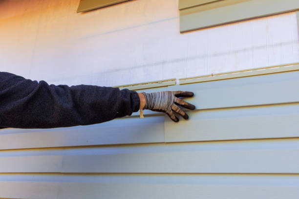 Affordable Siding Repair and Maintenance Services in River Hills, WI